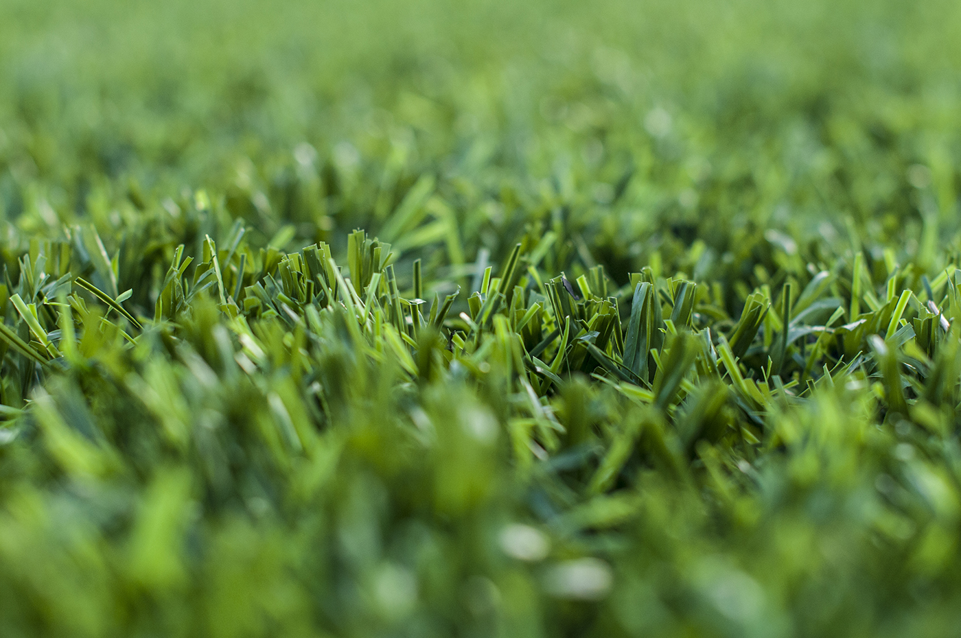 Kanter Arquitectos Proyectos